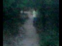 Drunk People Are Dangerous For The Woods