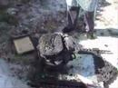 Fogo Posto em Ferreira - Alandroal