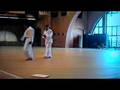 Garry Yuen karate front kick speed board break