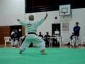 Nanbudo Skien