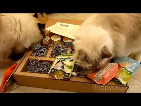Pawalla Cat Gift Box Review 0 Pawalla Cat Gift Box Review