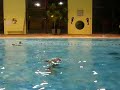 pOrtéé synchrO __* pOrtéé synchrO __*