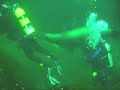 Union Bay Dive Excellent Diving in the Killer Whale Tank Union Bay Dive Excellent Diving in the Killer Whale Tank