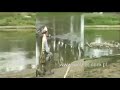 Bromba - na wieczorowe klenie