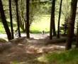 dalby forset black run