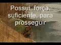 Voc� pode vencer!