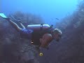 Episode 32- The Sampler, East End, Grand Cayman Episode 32- The Sampler, East End, Grand Cayman