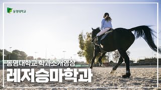 기본썸네일이미지