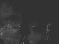 Primitive Reason - Eat My Bush - V.N.Gaia 2006