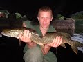 fiske