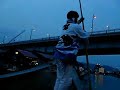 YouTube: 鵜飼い漁見学