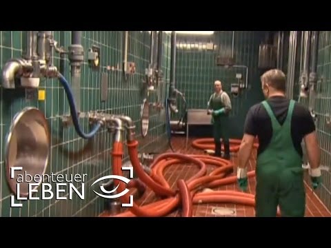 Wie funktioniert die Beck\'s Brauerei? (1/2) | Aben ...