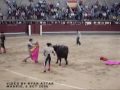 Bullfighter Killed Bullfighter Killed
