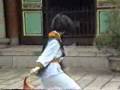 videos de 四路梅花刀 four way plum blossom knife