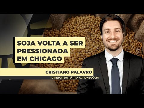 Região Sul do Mato Grosso do Sul tem 70% das lavouras em condições ruins ou regulares