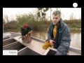 Voir la Vidéo