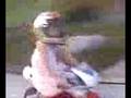 Crochrocket baby