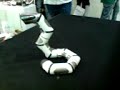 Hagop Plays with strange snakey invention Hagop Plays with strange snakey invention