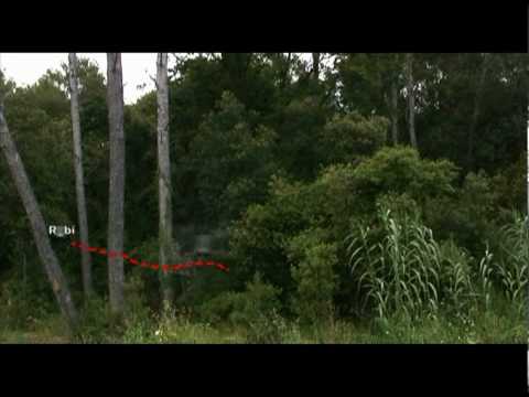 See video