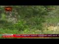 Heavy fighting erupts at the outskirts of Kilinochchi. Wanni Operation 16 th of December 2008