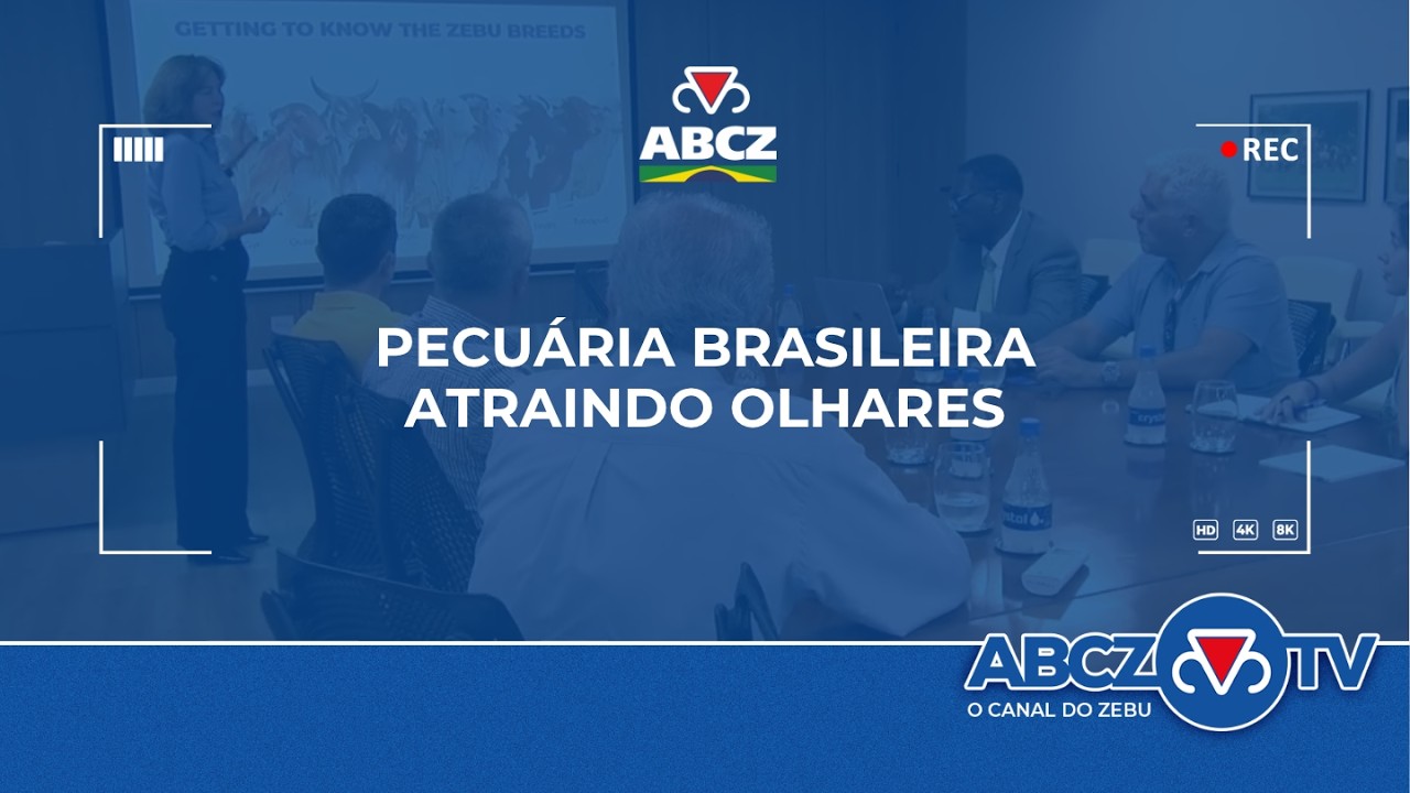 VISITA COMITIVA DA MAURITÂNIA E ANGOLA