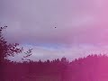 Archery Trick Shot : Self thrown ball (aerial shoot).