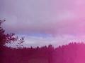 videos de Archery Trick Shot : Self thrown ball (aerial shoot).