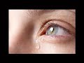 اسعد يوم ..عامر منيب ؟؟؟.mp4
