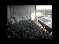 2012 Topeka Falcon Cam-May 18, 2012 @ 1955 hrs EST.