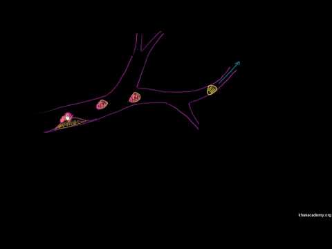 Khan Academy - Tromboemboli ve Tromboembolizm (Sağlık: Çeşitli Konular) - 2013.07.11