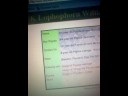 WMware Linux Solaris Image