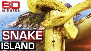 The deadliest place on earth: Snake Island