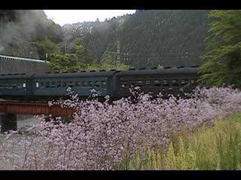 ピンクの花とC11（汽笛つき）