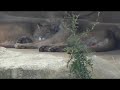 Styler Alles Verloren Remix Bremervörde Urlaub 18 07 2009 01 08 2009