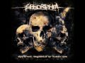 Seborrhea / - ∞ +