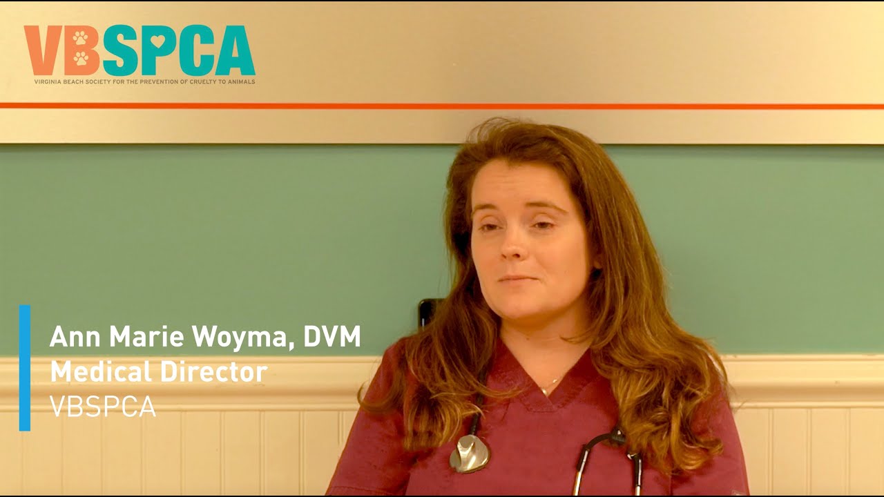Dr. Woyma, VBSPCA Medical Director talks about her experience using VETIGEL®