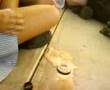 videos de Eshayzz Unfayzz