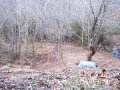 Gulches_Steve_twister