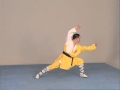 Shaolin - Apprendre les mouvements