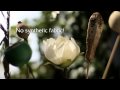 2010-05-21 | Pranamat Eco - massage acupressure mat for relaxation and anti-stress (promo vid ~> Pranamat Eco by Advaita - compact, flexible, and useful self-healing tool, which could be reachable by anyone at any time or place. It is made of 100 ... ()