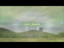 A toda costa - Observación de aves