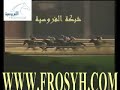 على الله اسطبل الحملي