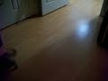SMAPDI (music).MOV