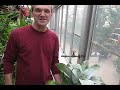 The Coqui and UMass Boston Manele-Gratis.net