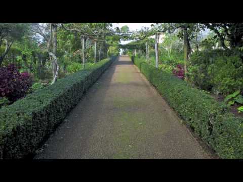 A visit to Palheiro Gardens on Madeira Island