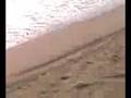 videos de EN LA PLALLA