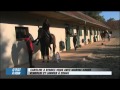 Extrait - Caroline A Rendez-vous Avec Marina Hands - Equidia Life