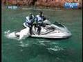 Treasure hunt in jet-ski in Corsica