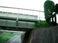 ボーダーコリー キース Border collie keith July/21/2008
