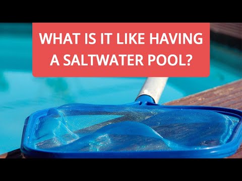 video-linktoworks-What to Expect After You Convert a Salt Water Pool